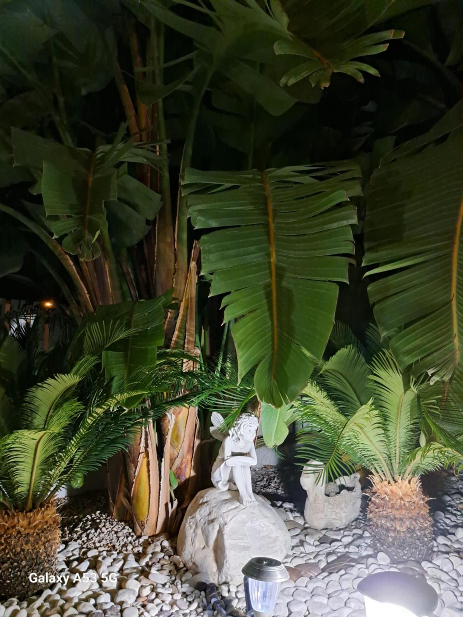B&B Villa Antonio Loreto Agropoli Exteriör bild